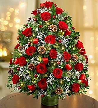 Christmas Flowers