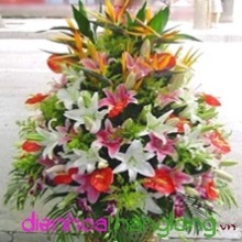 Vip Flowers