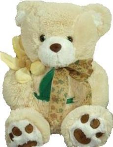 Bears 005