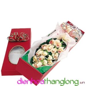 Flower Box 005
