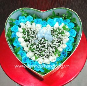 Flower Box 019