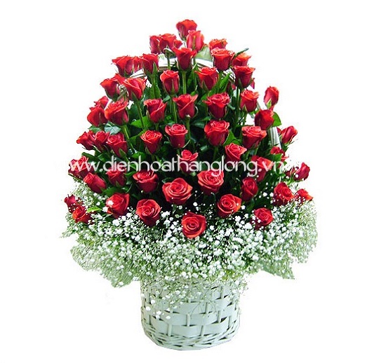 Christmas Flowers 025