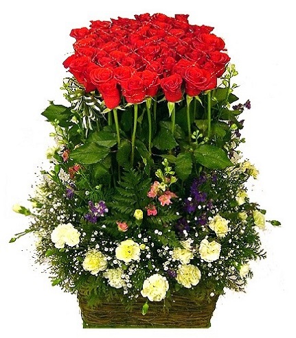 Christmas Flowers 026